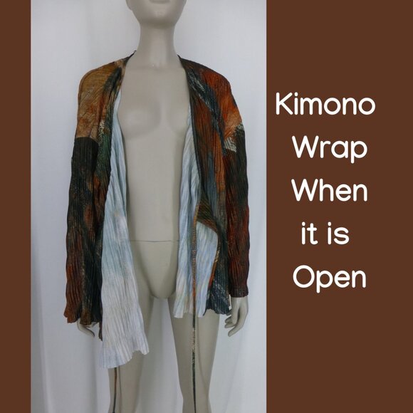 Zara Womens Long Sleeve Pleated Texture Wrap Tie Kimono (Size S) - Picture 3 of 12